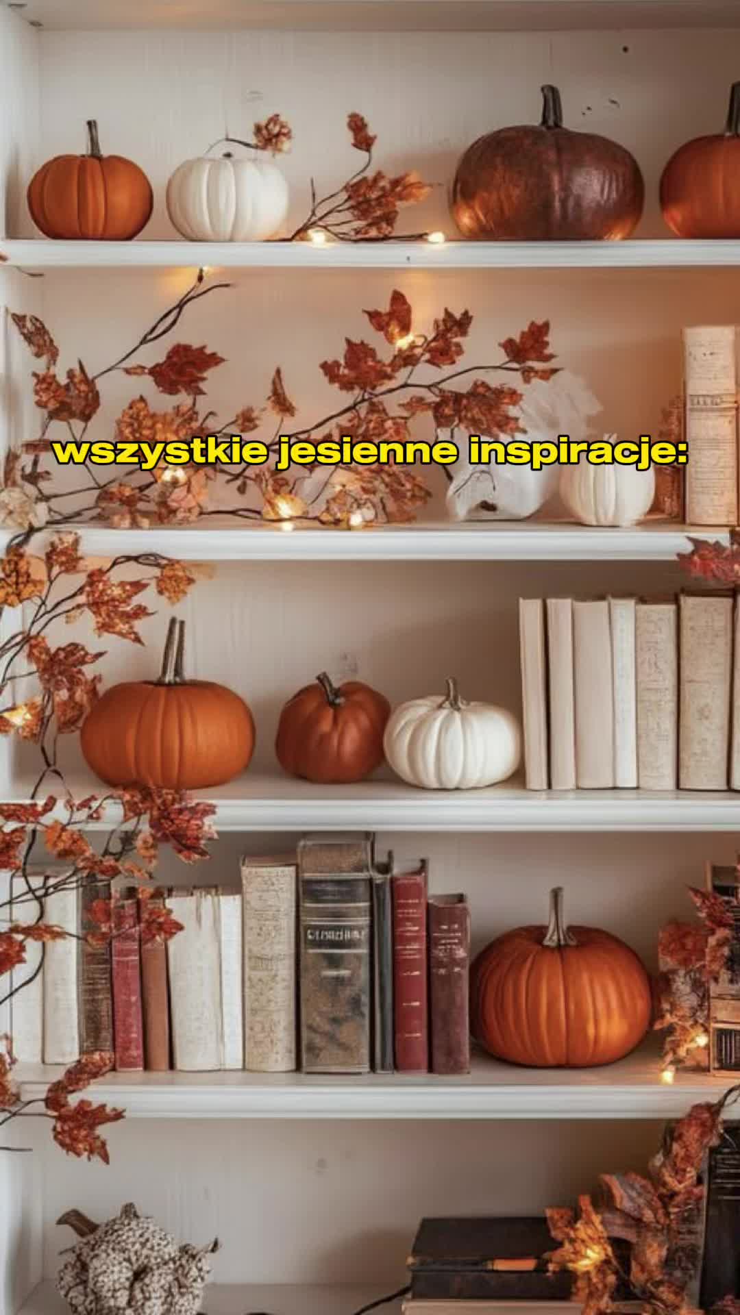 @silnakoza