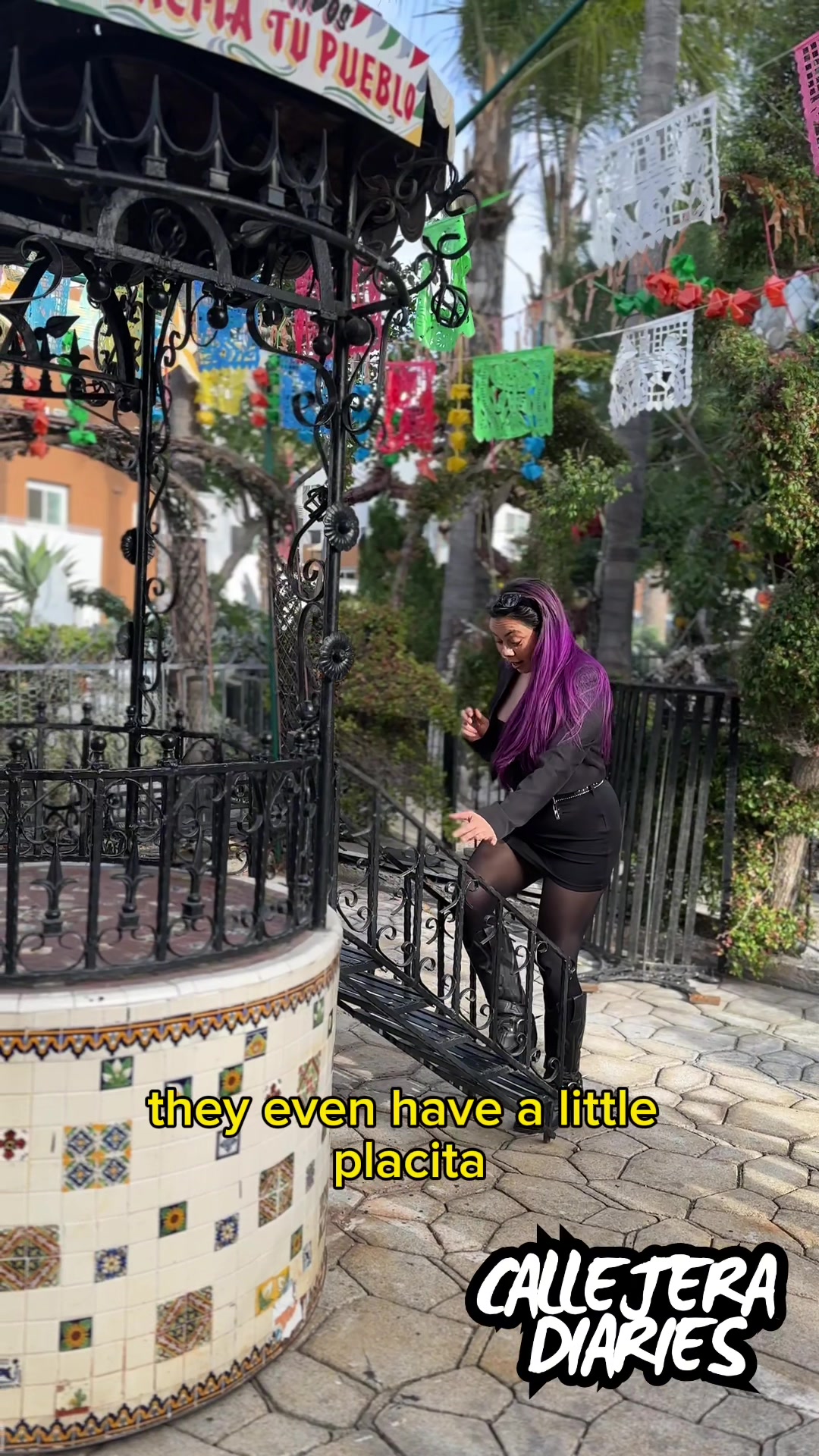 @Callejera Diaries 🤠