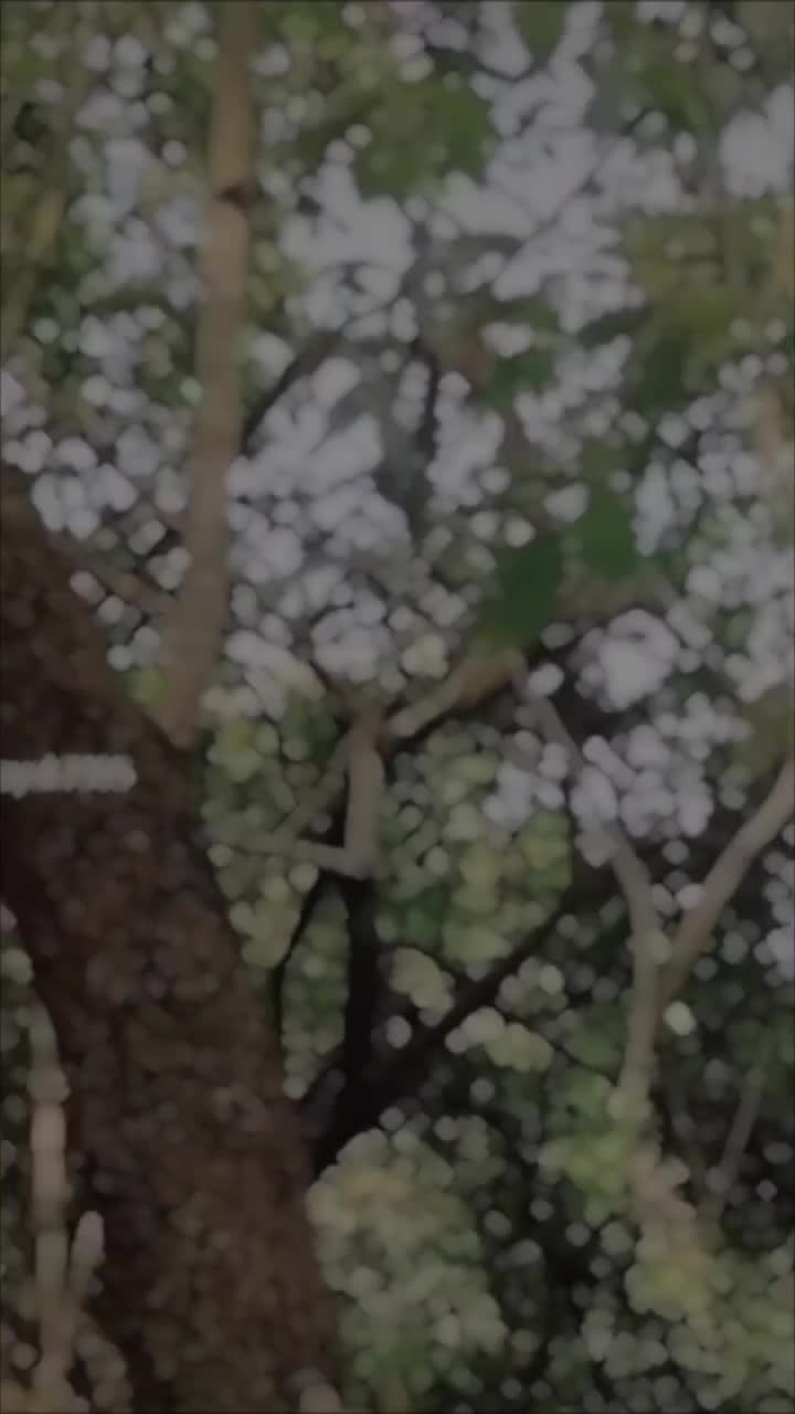 @arjunnayak7305