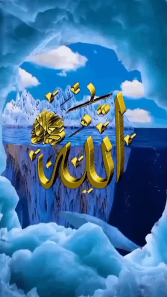 @Noor Aldeen391