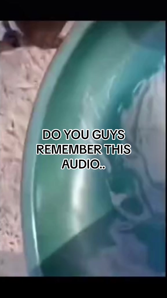 @tacoeater290