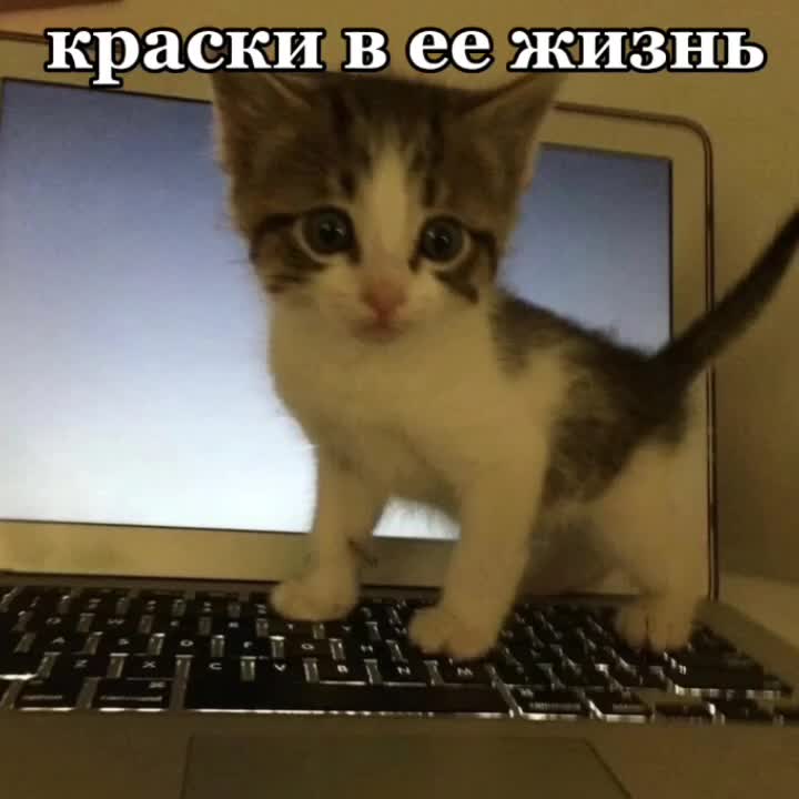 @!¡Ꮇяɸ💌¡!
