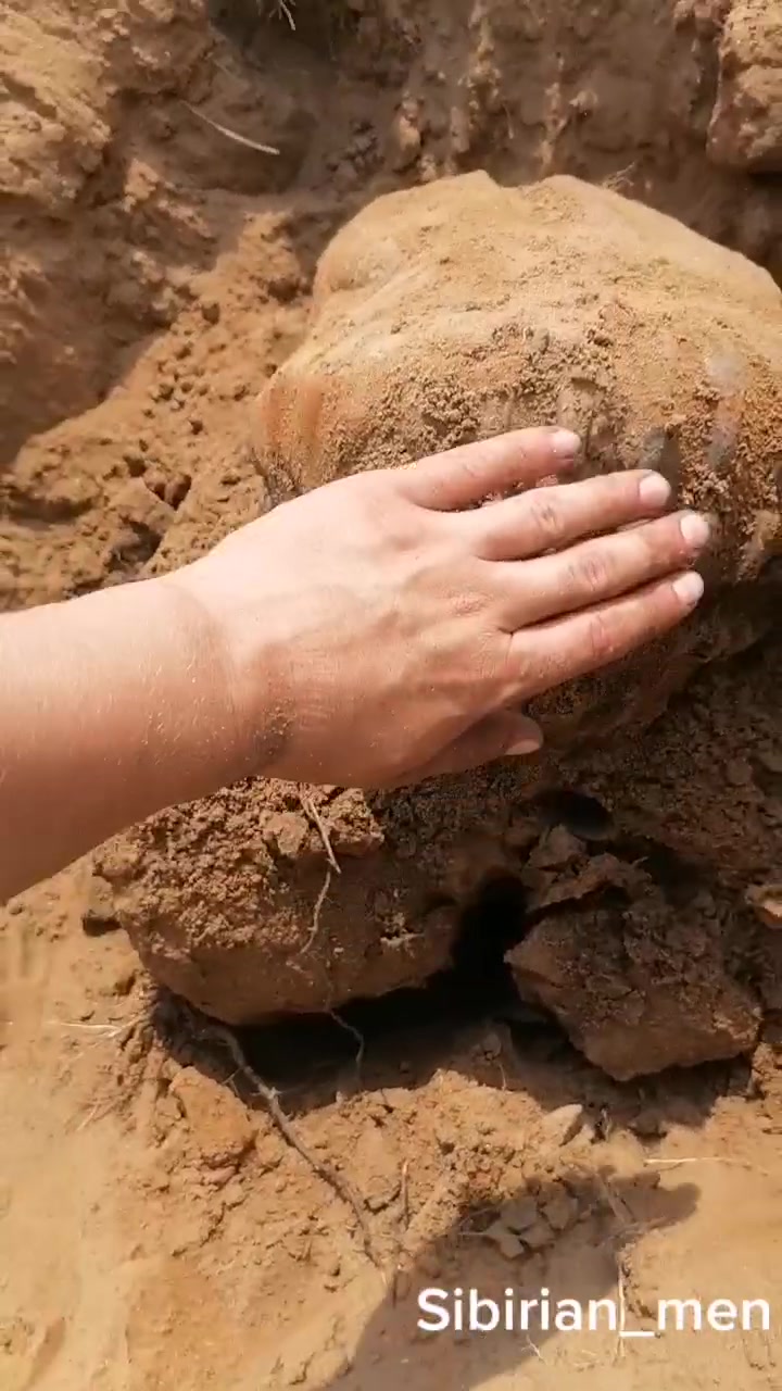 @Сибирский металокоп_38