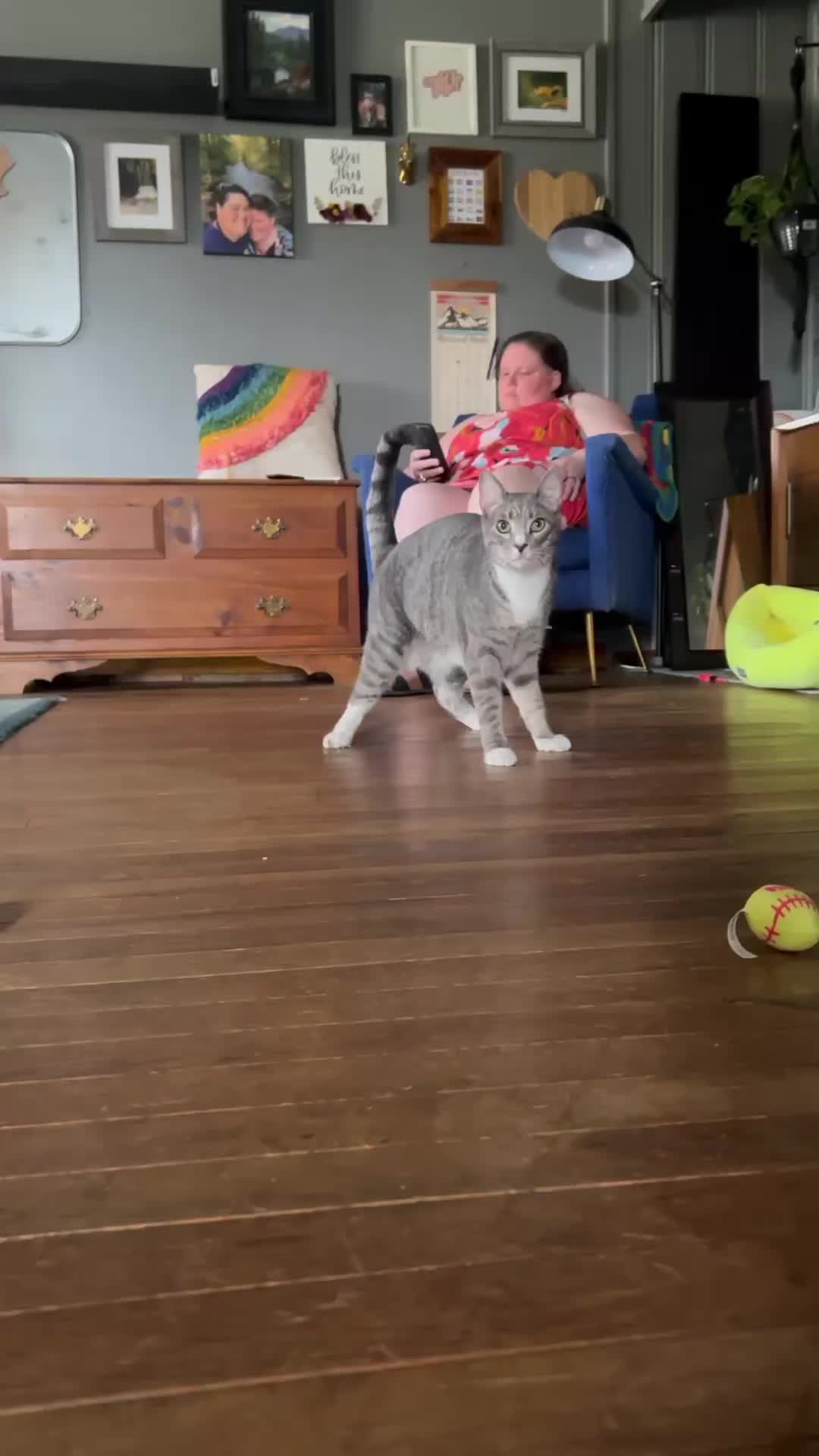 @HopesDreamRescue