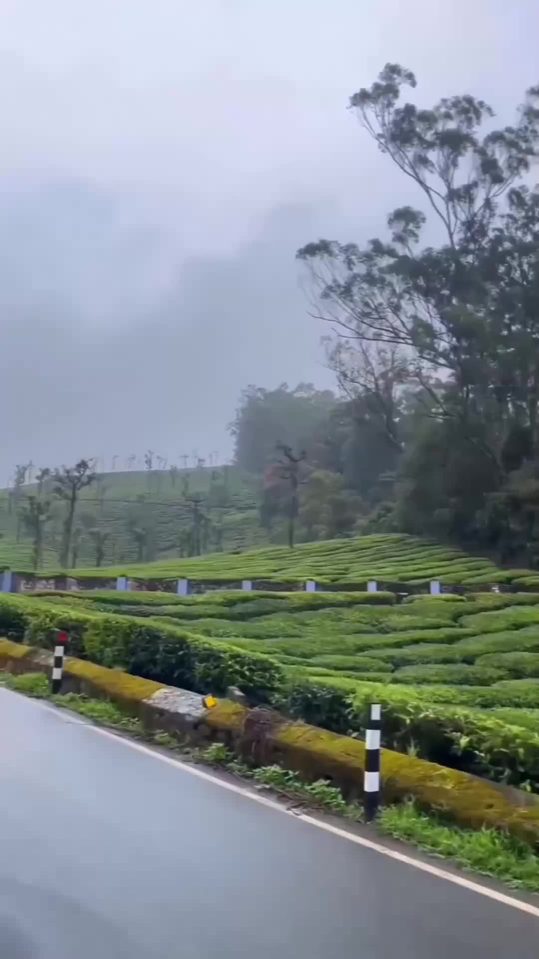 @എടത്തനാട്ടുകരകാരൻ ❤️❤️❤️❤️