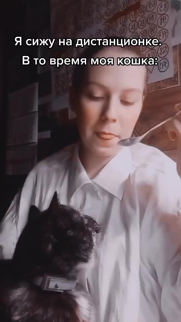 @🥥 Кокосик 🥥