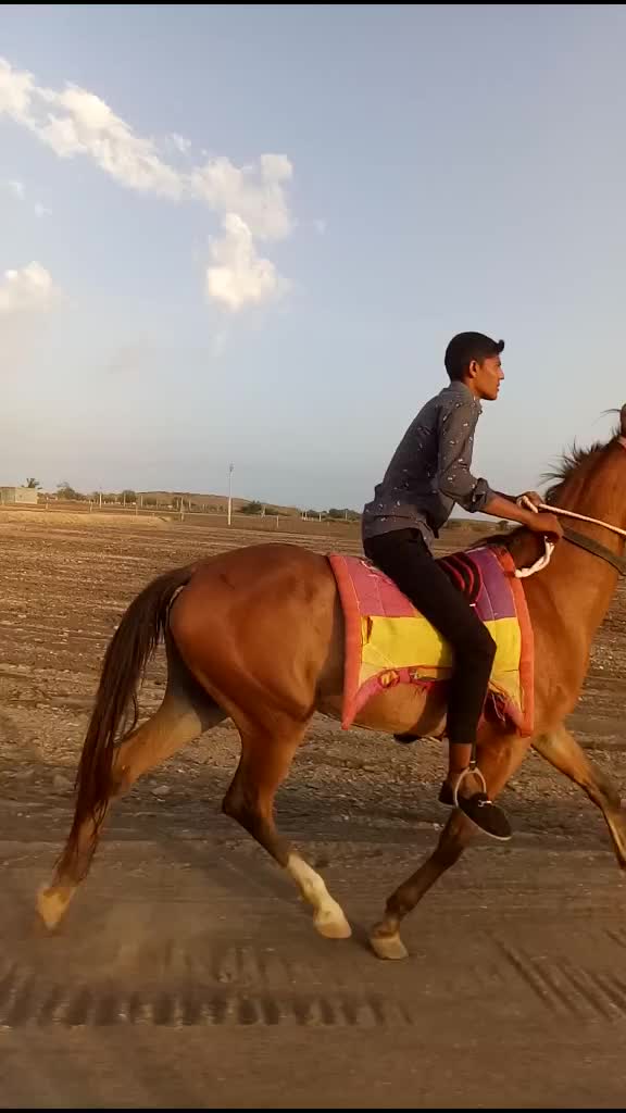 @Jaydip Raiyani 1212