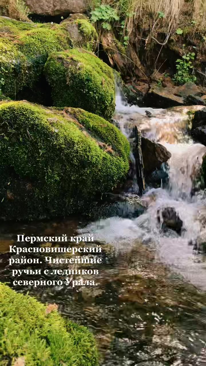 @Мария Носкова