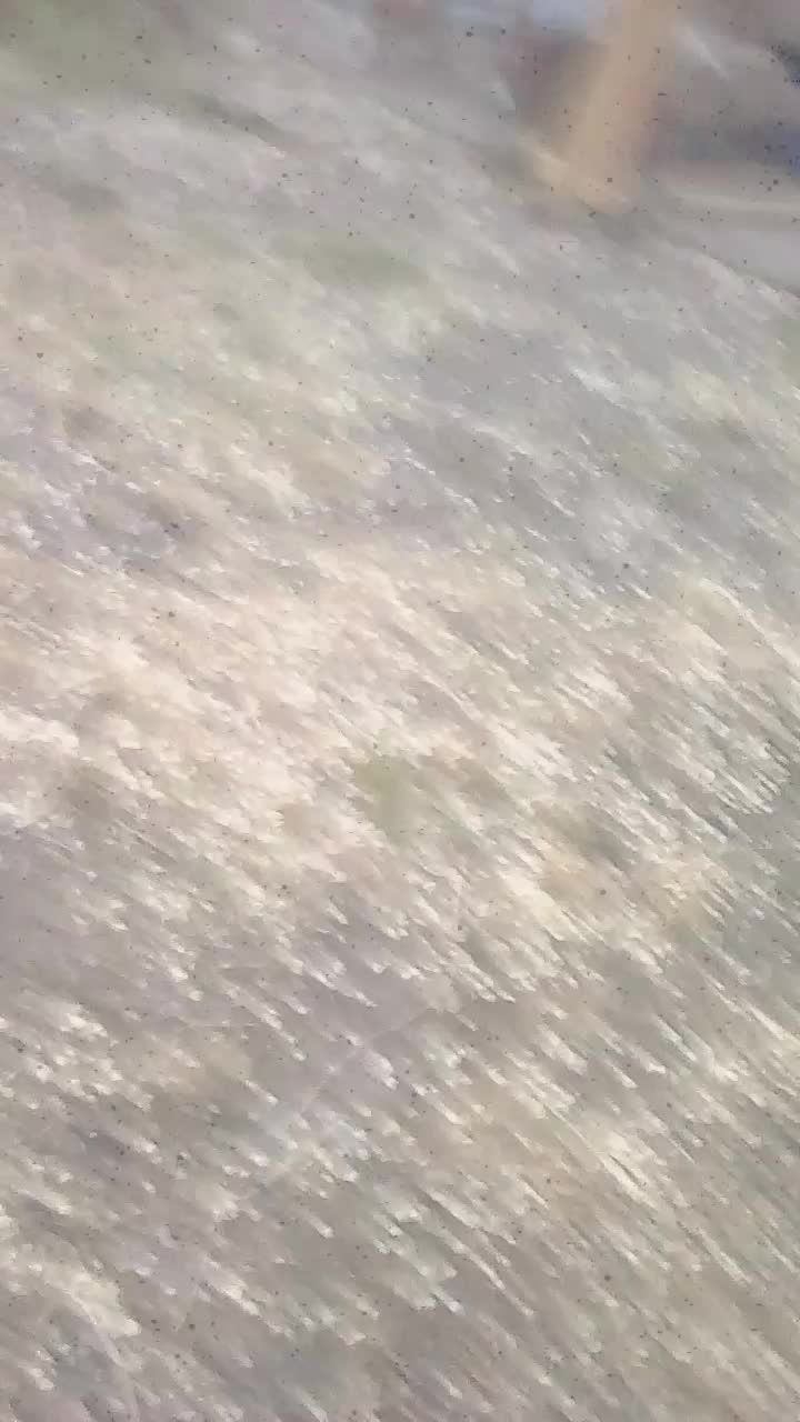 @120714ElijaRydal1123