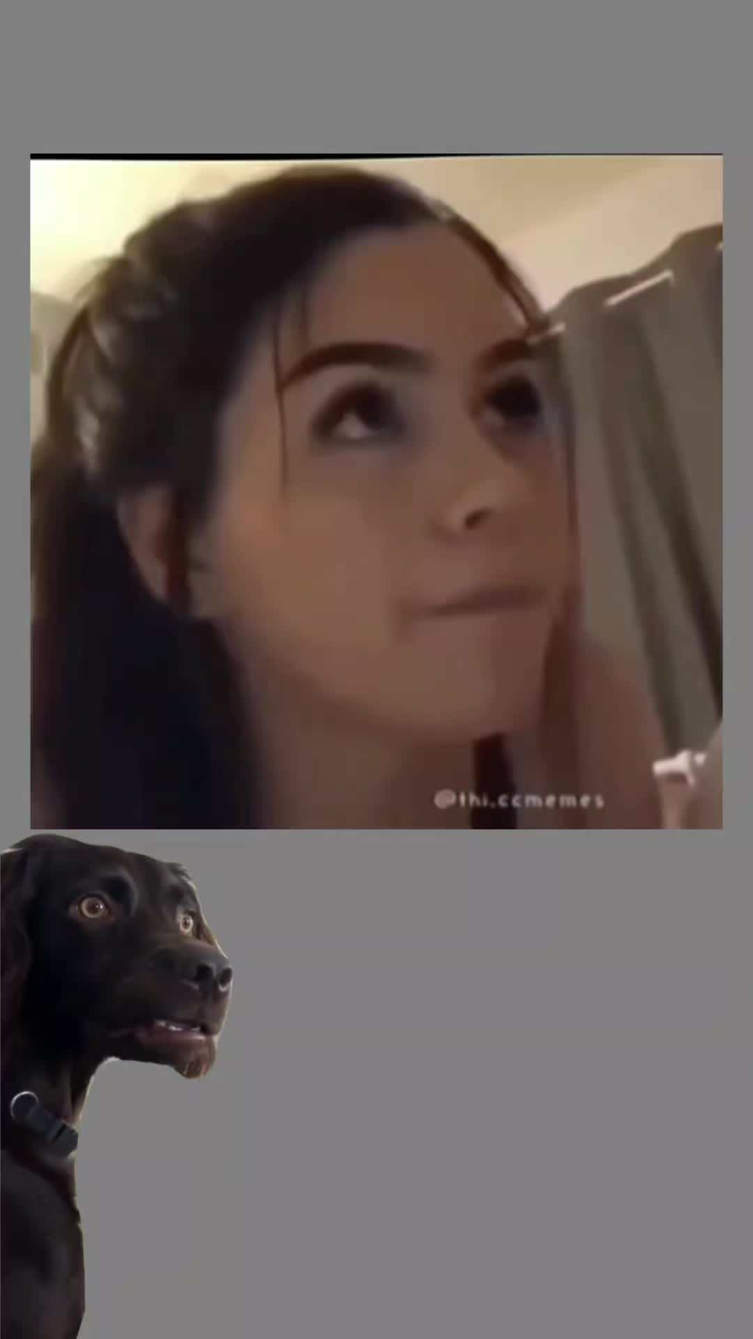 @Chillszone🤣