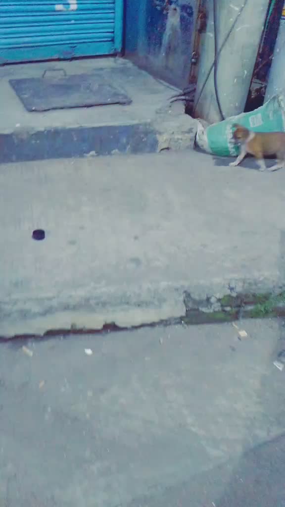 @D-U-RJOY.đ¸đ¸đ¸đ¸E-M-ON