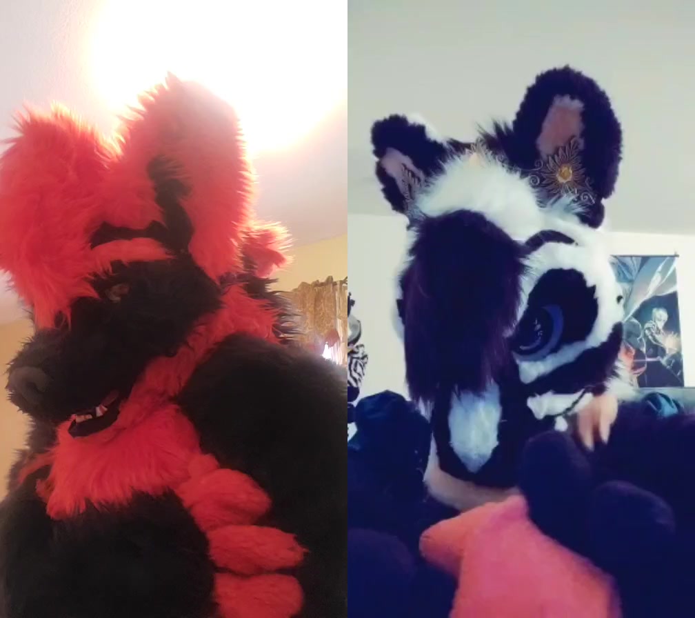 @Blaze Wolf