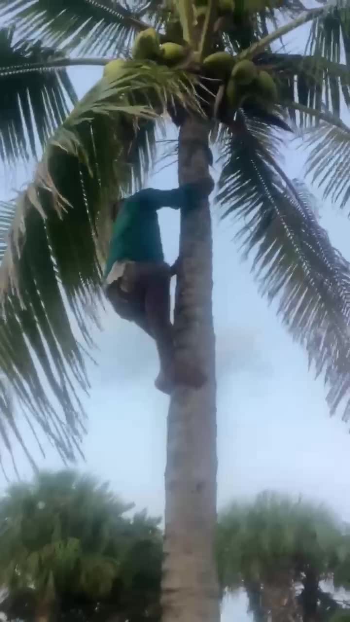 @M Alam Titu