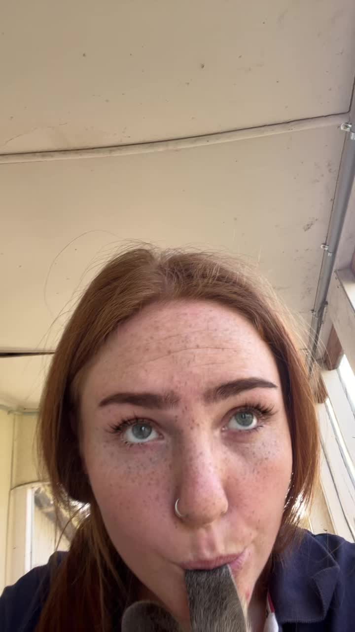 @Aussieredhead