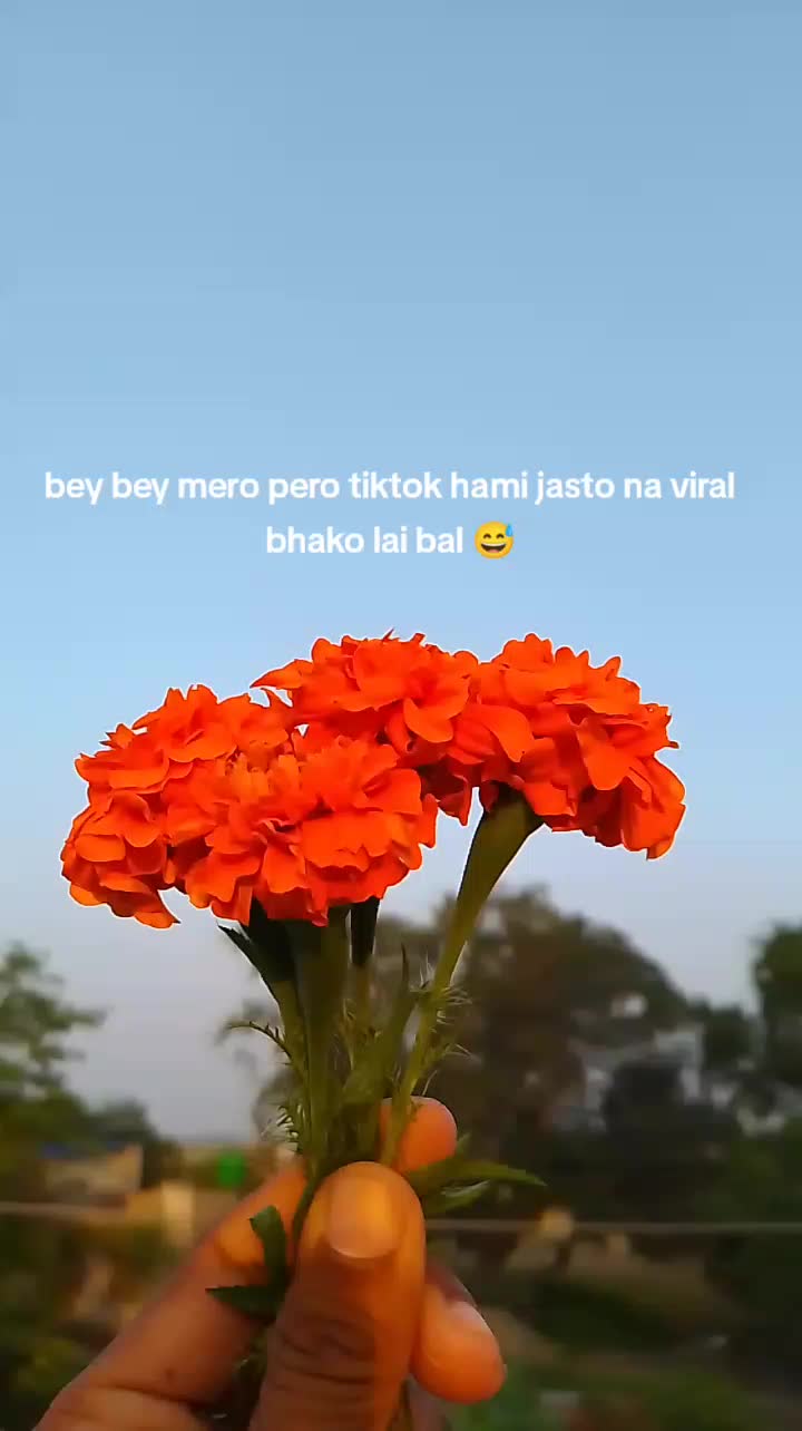 @Dangoriya Rohit