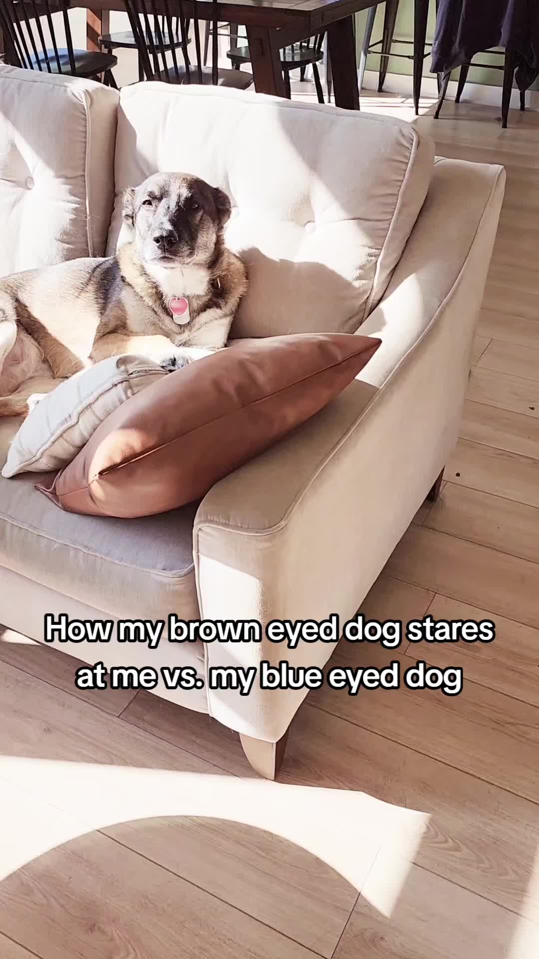 @AM