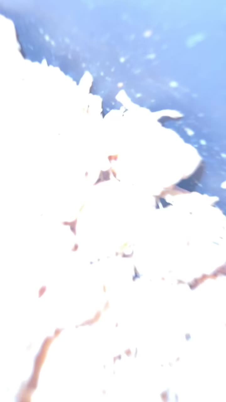 @The0neand0nly_Tank