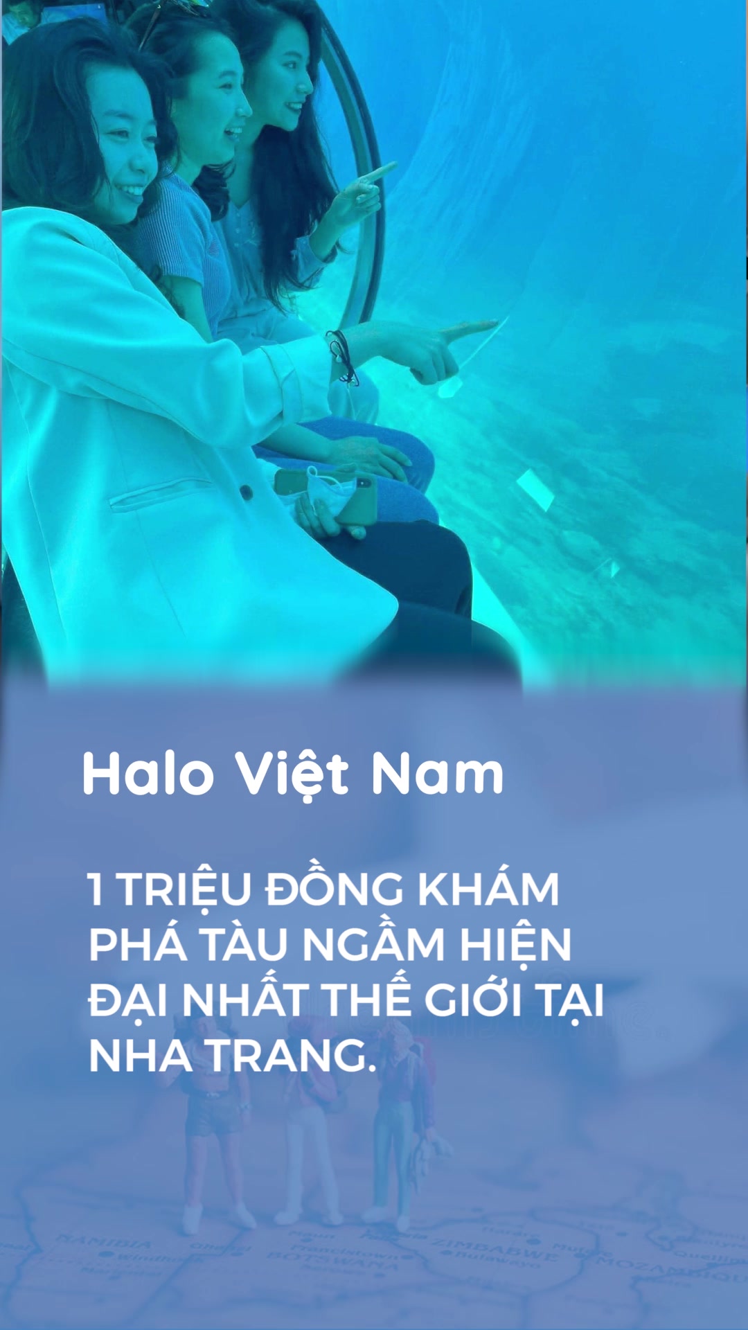 @Halo Vietnam