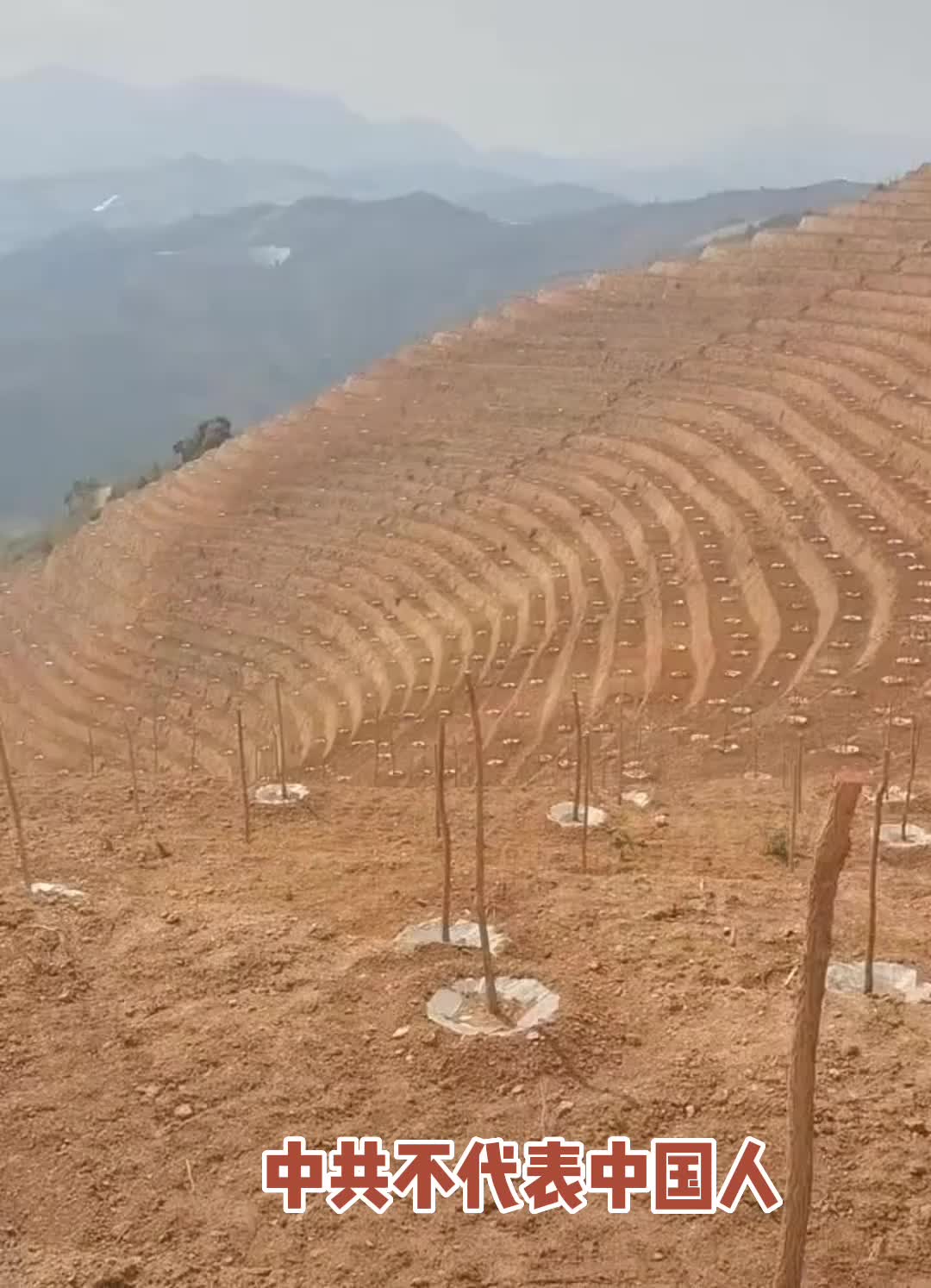 @新青年•中国观察