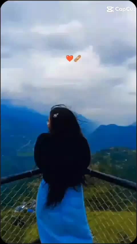 @__puku__❤️🩹🦚🪈