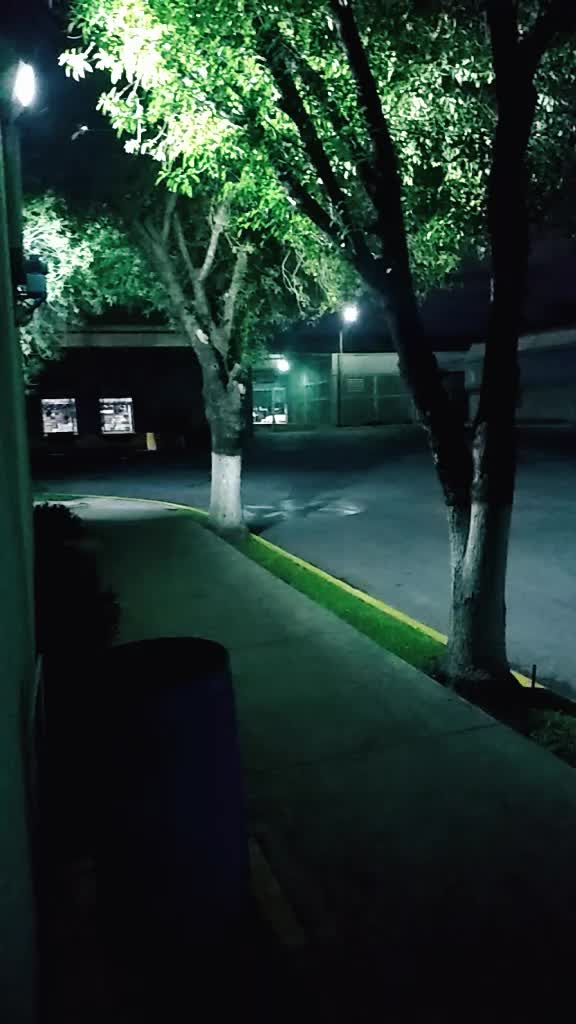 @Jos&eacute; A. Moreno