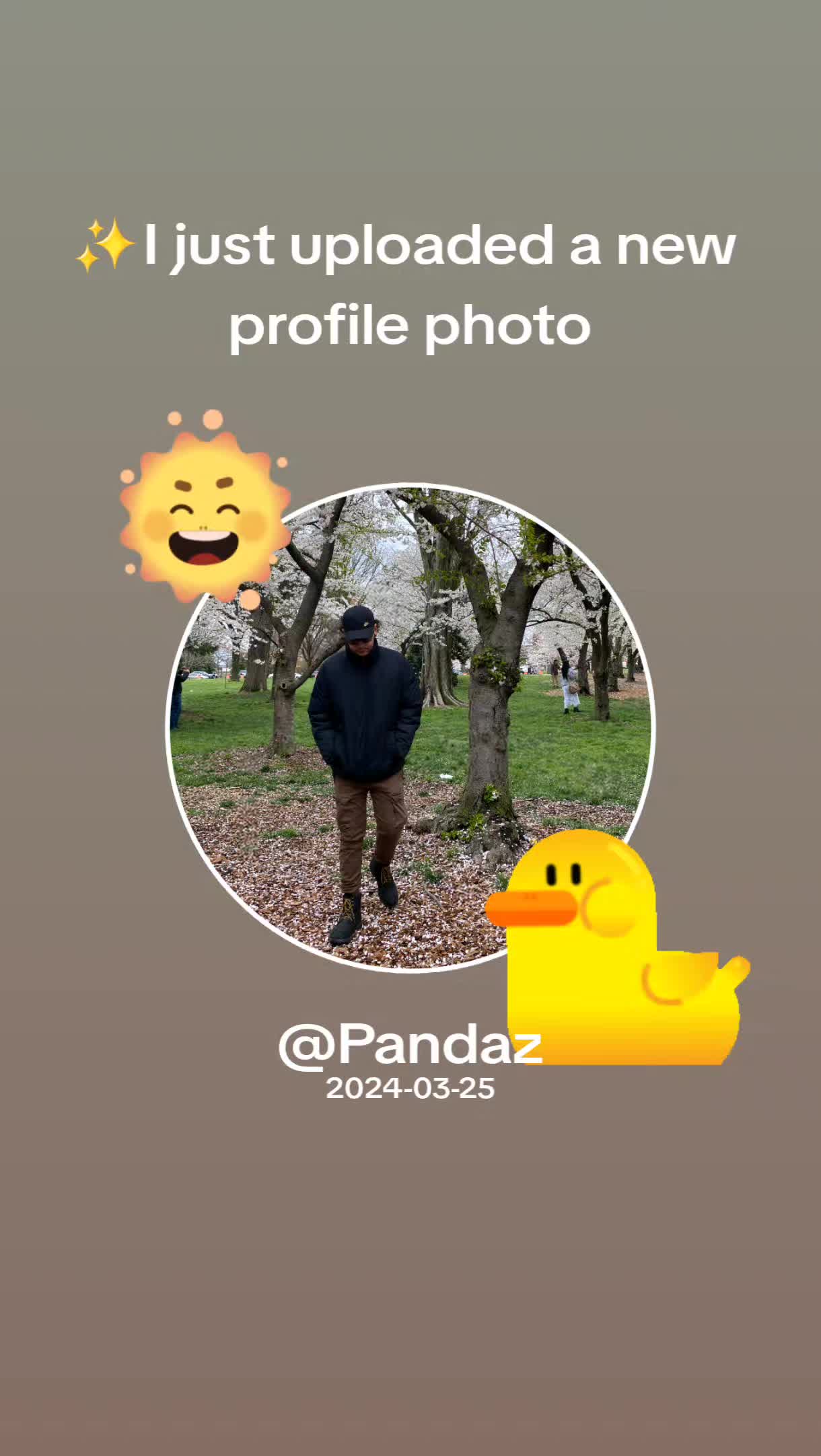 @Pandaz