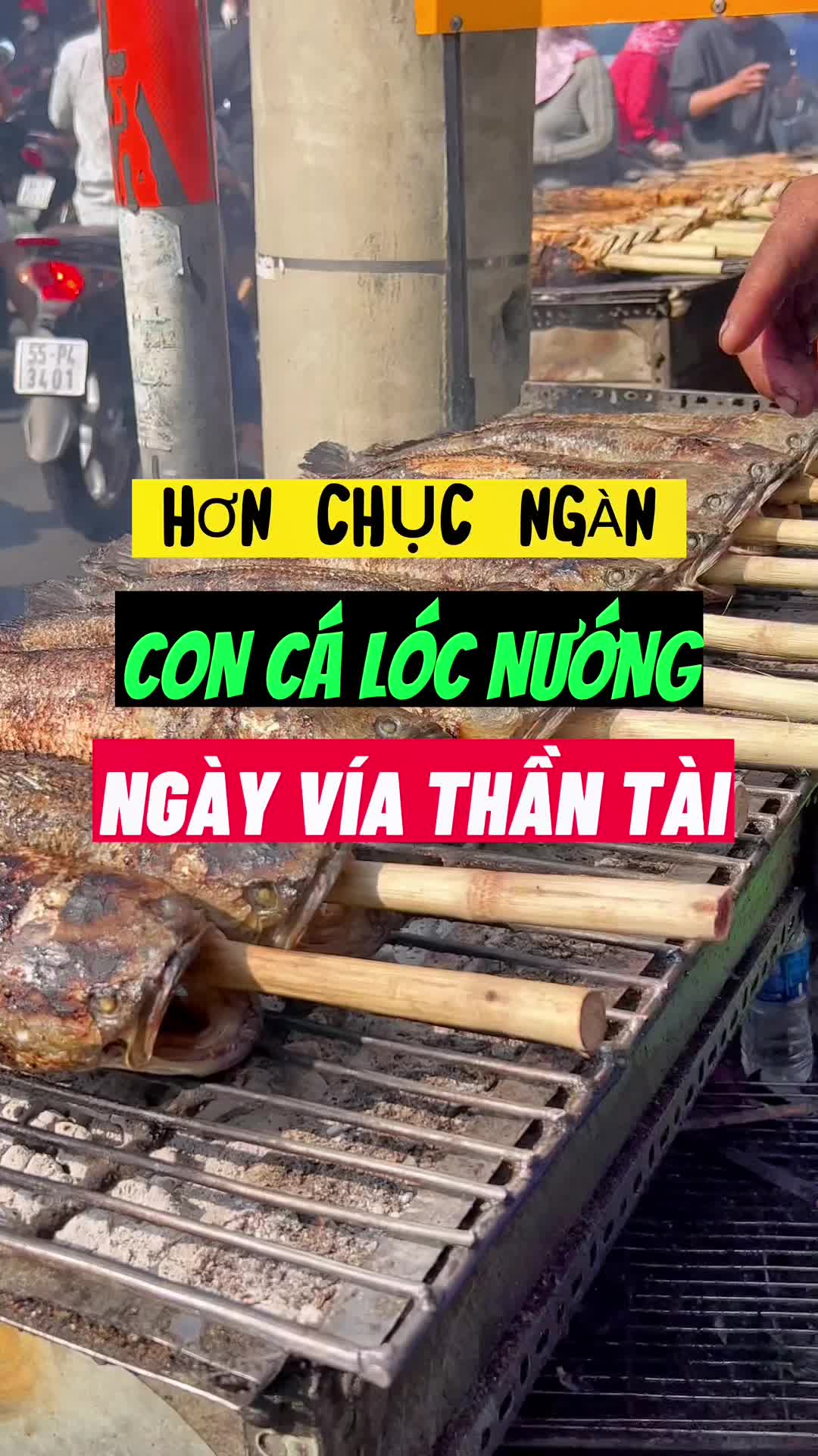 @cogiaonga