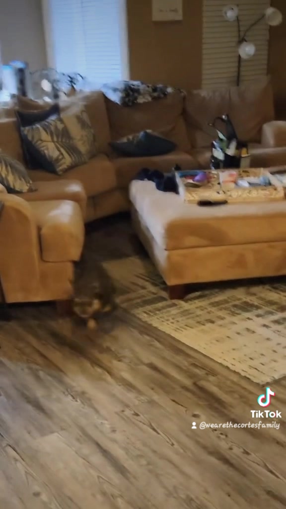 @Tina