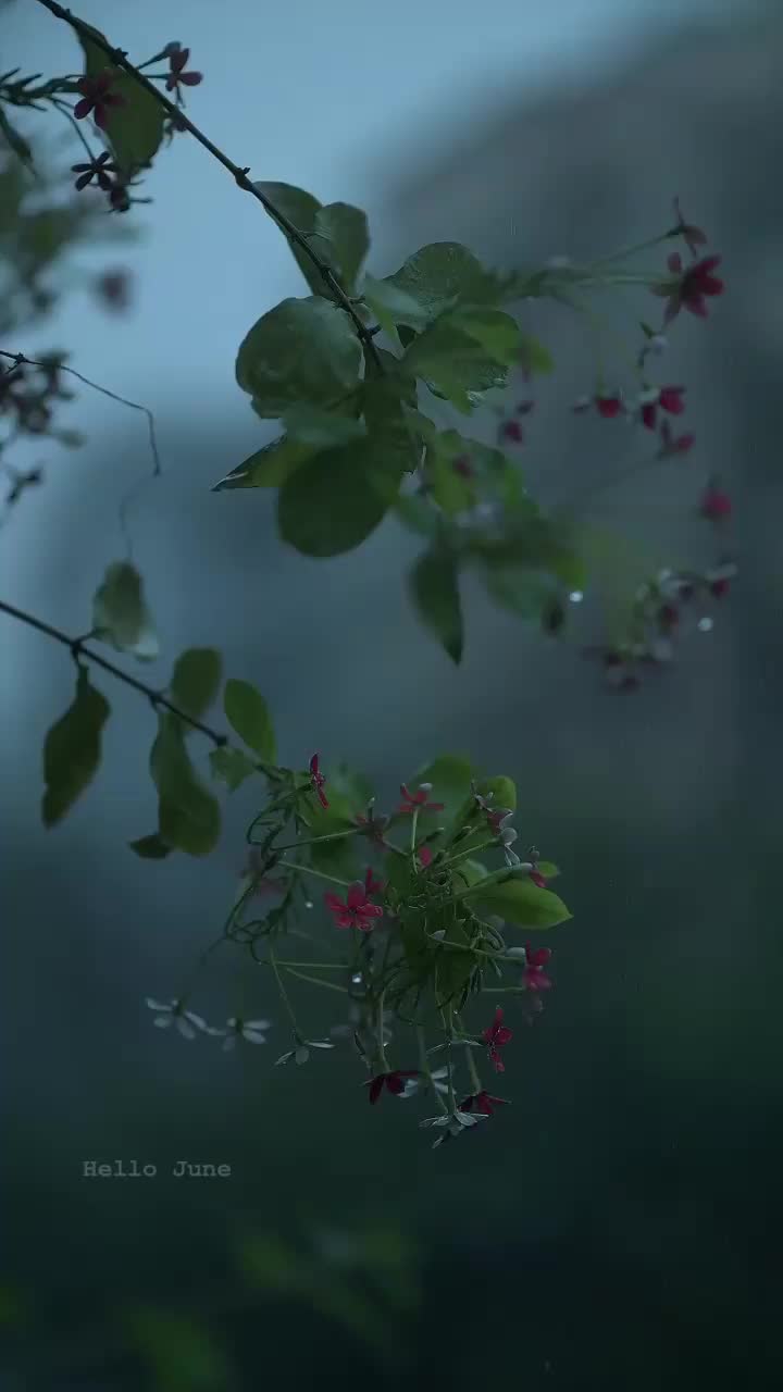 @SwathyShambu