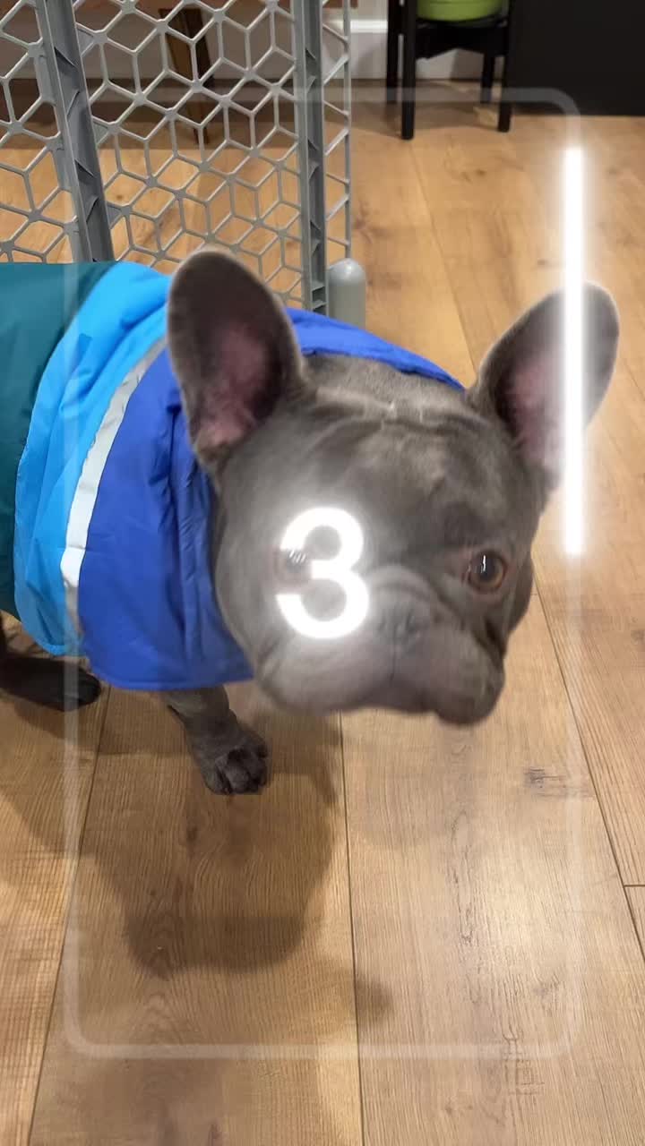 @Shaq Diesel
