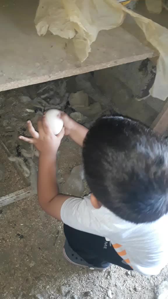 @Raşit