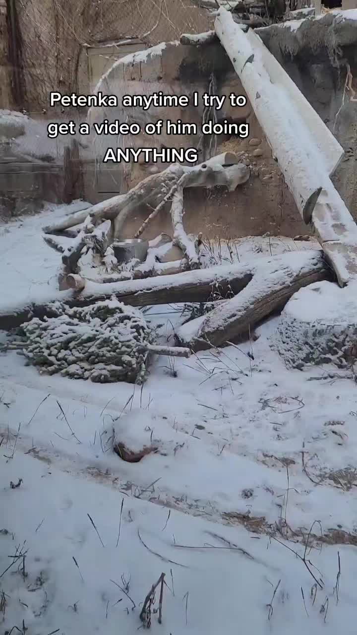 @Zookeeper Melanie