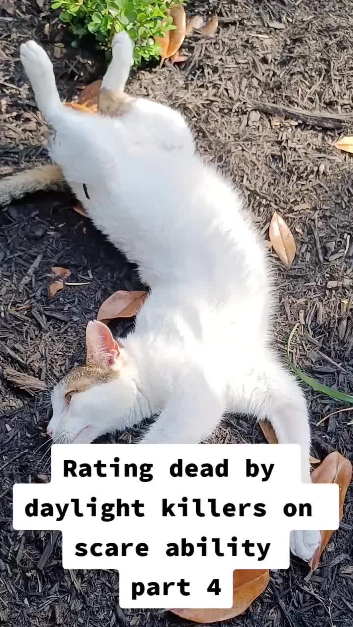 @Sorphina