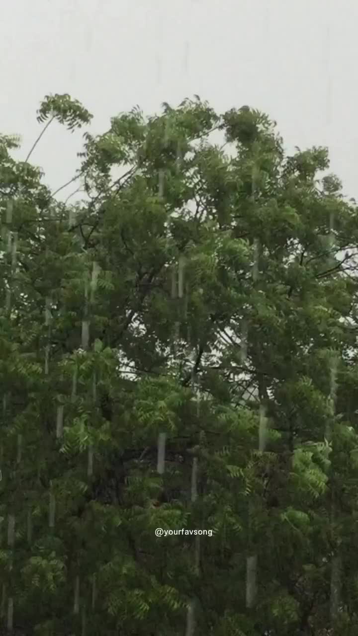 @𝙔𝙤𝙪𝙧𝙛𝙖𝙫𝙨𝙤𝙣𝙜.𝘾𝙤𝙢