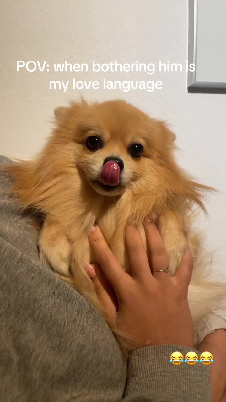 @Nila