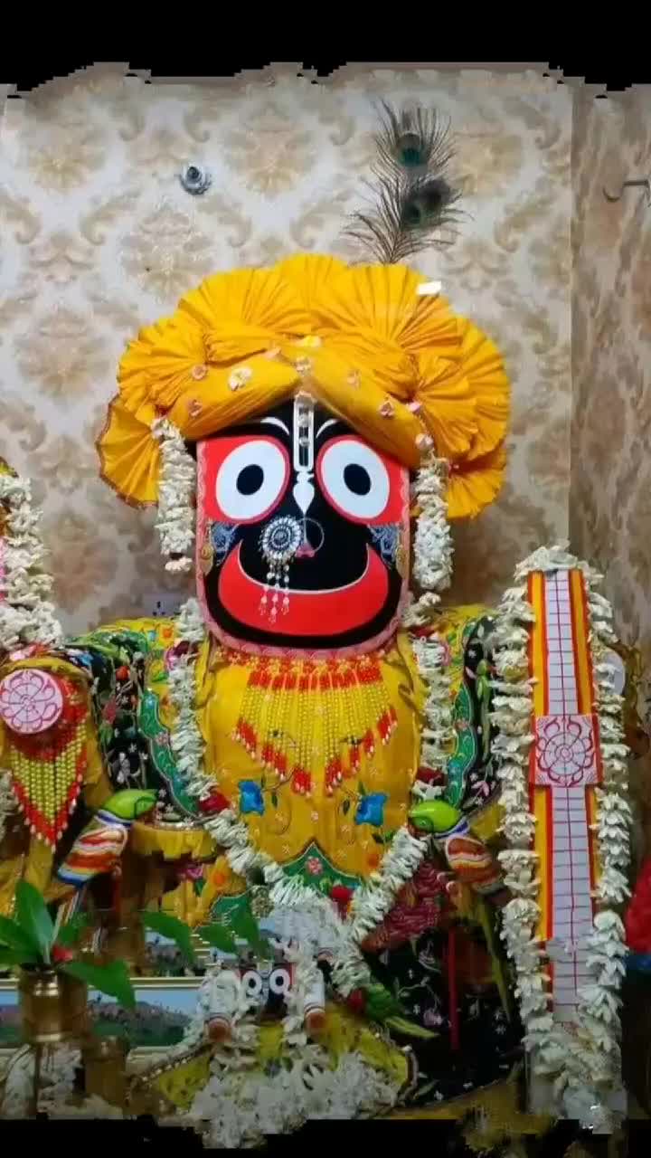 @user1950258454556