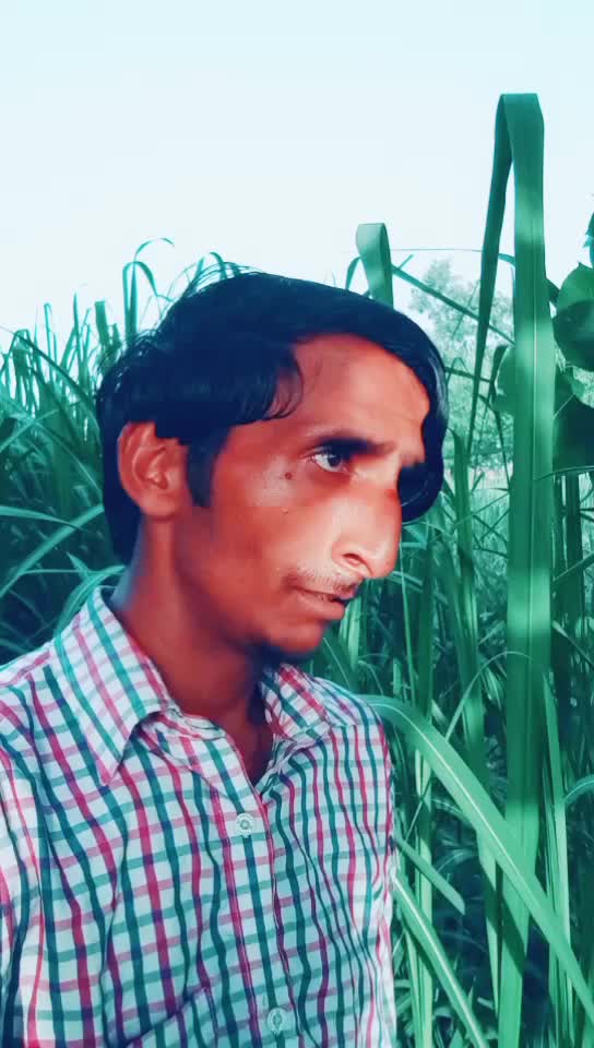 @Ankit