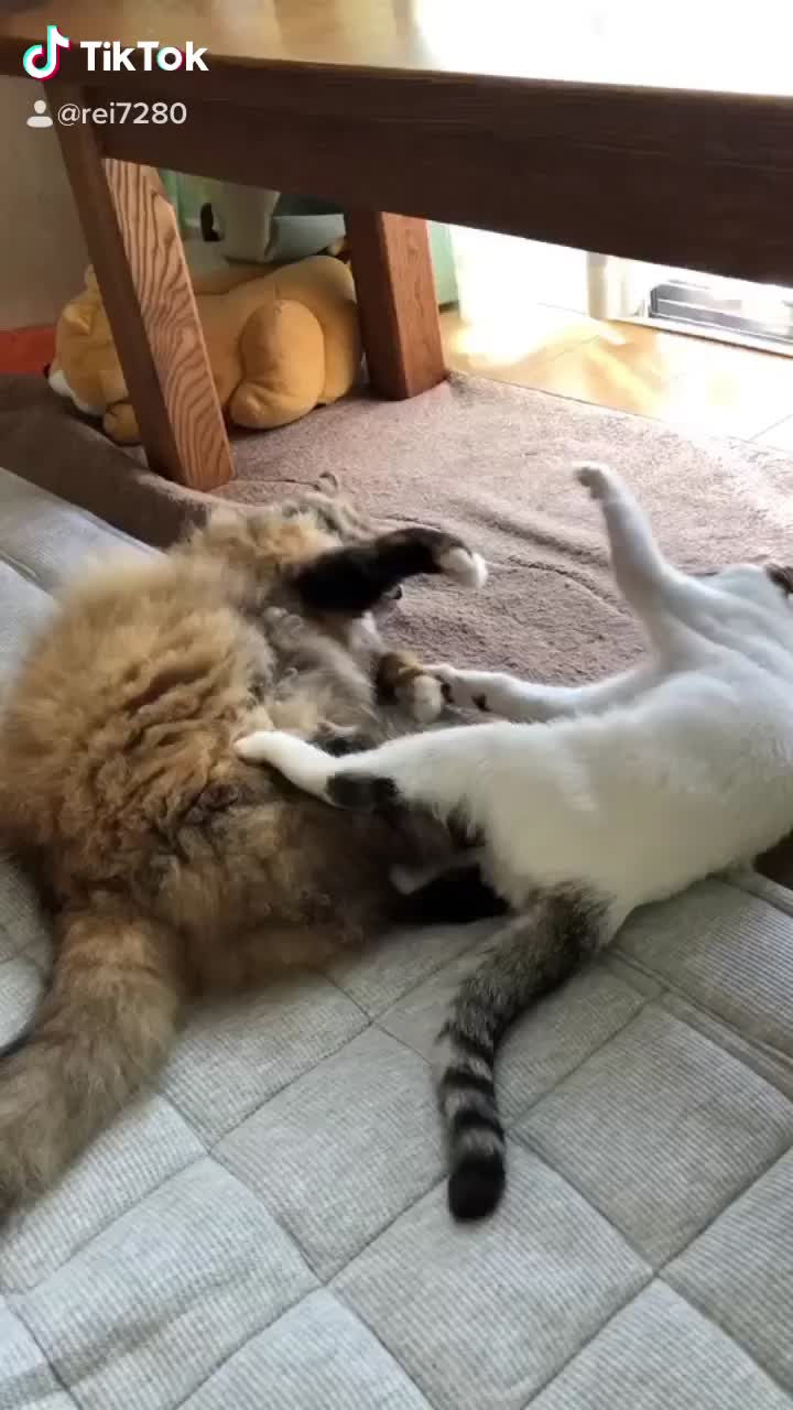 @れい