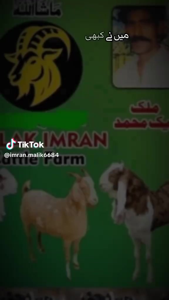 @rihan malik