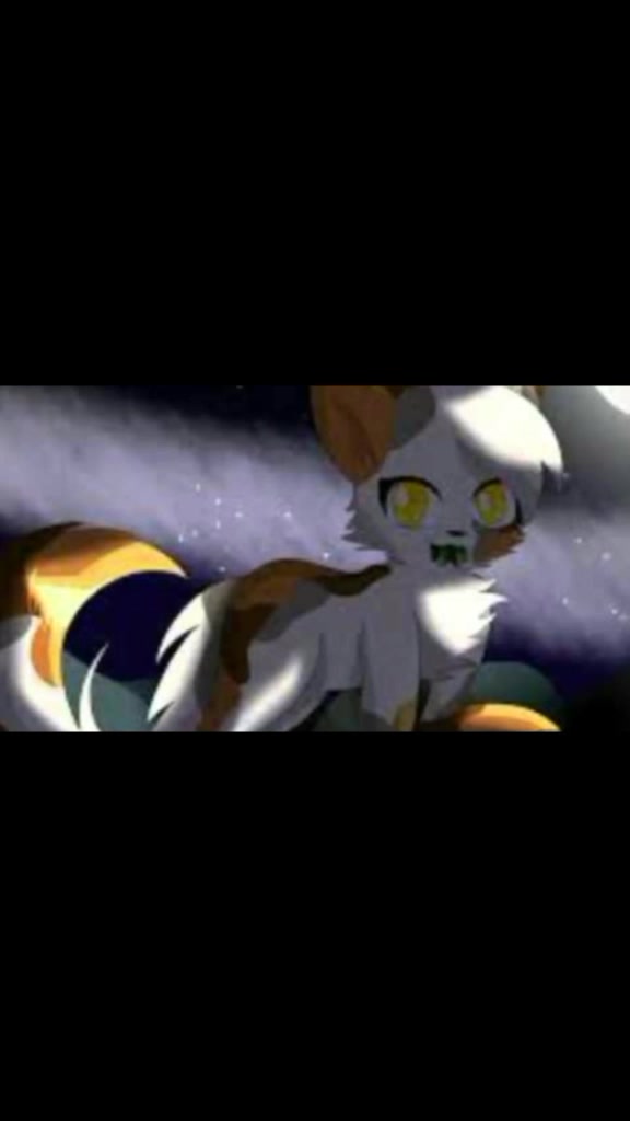 @Warrior Cats