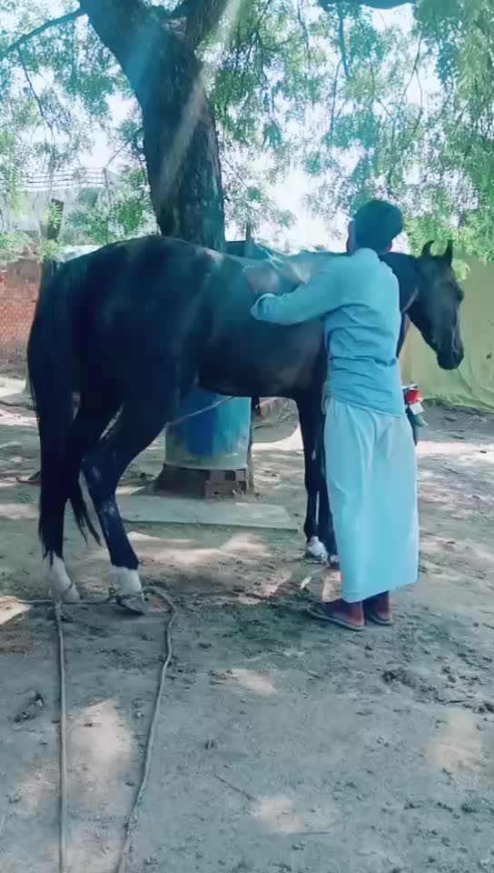@Mohd Amaan