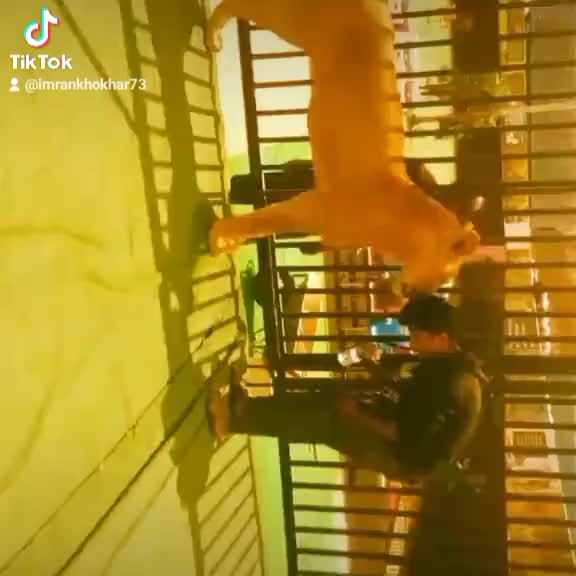 @Imran Khokhar