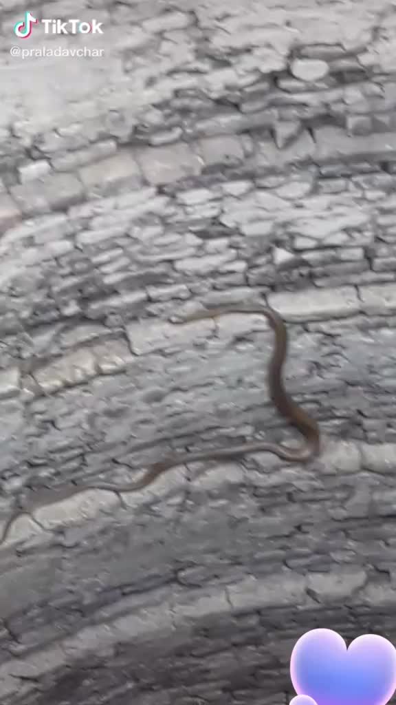 @मराठा९६ आशोक आवचार