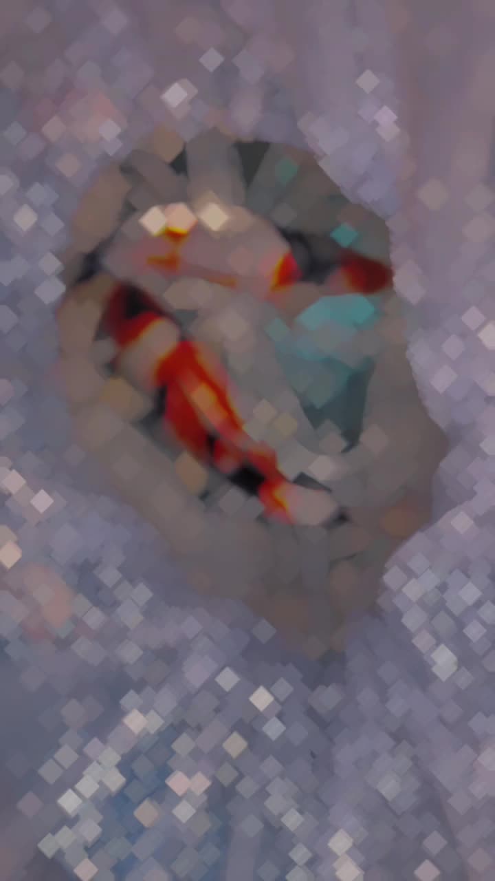 @• BINTANG KOI •