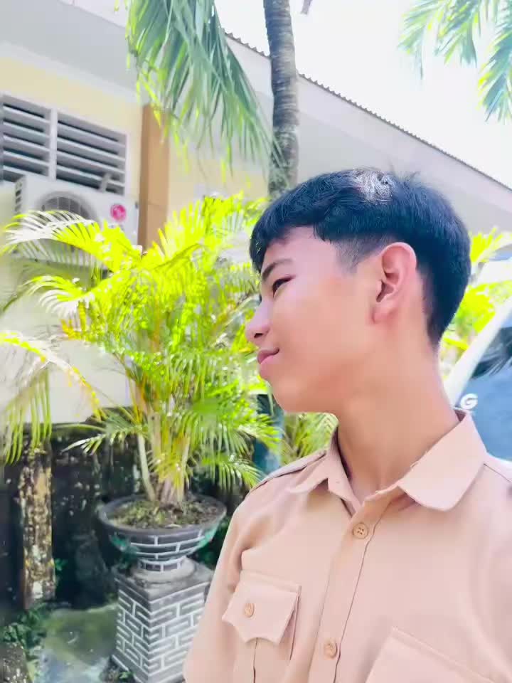 @TAN311