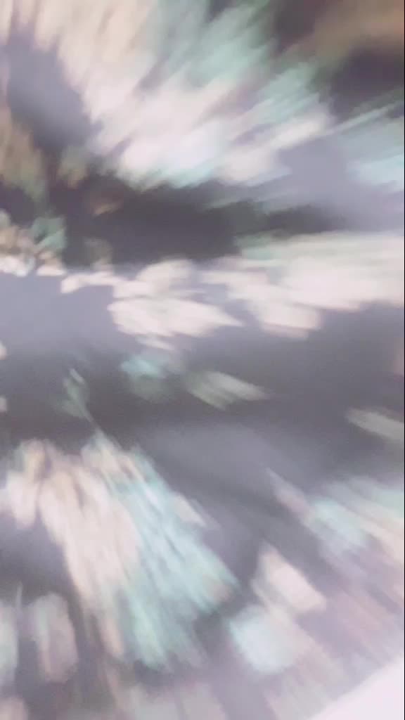 @V.D.19@19