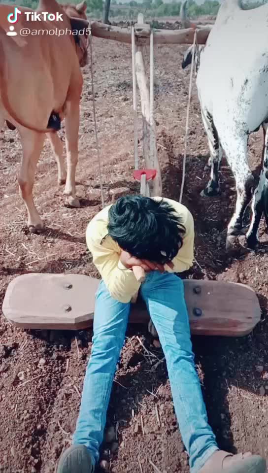 @Amolphad