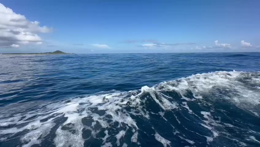 @Sunbliss Tours Utila