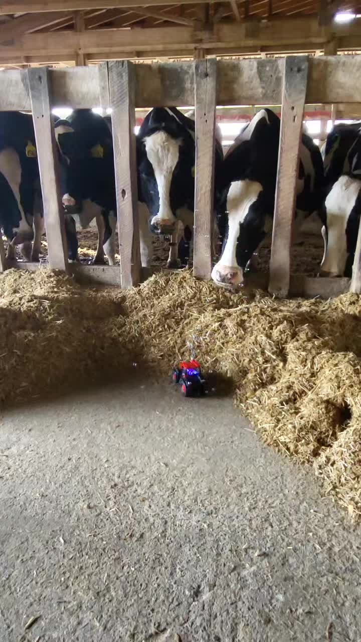 @Farmer Moo