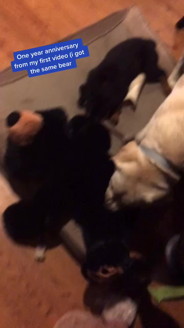 @Tuckerpuppy